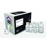 IBI Scientific MINI High-Speed Plasmid kit 100 preps IB47101 