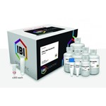 I-Blue MINI Plasmid Kit 300 preps IBI Scientific IB47172 