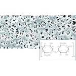 Sartorius Stedim Biotech Membrane filter 50 mm, 0,45 µm 18406--50----ACN