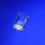 ROBU Glasfilter-Gerate Filter-Crucible, 30 ml, Por. F 2030F