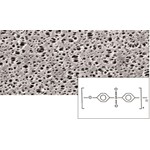 Sartorius Lab Membrane filter 25 mm, 0.45 µm Polyethersulfone, 15406--25------N