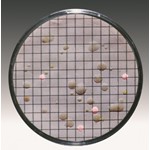 Sartorius Lab Nutrient carton discs Bismuth sulphite 47 mm, 14057--47------N