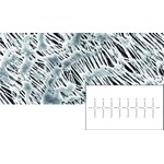 Sartorius Lab Membrane filters 47 mm, pack of 100 11803--47------N