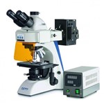 Fluorescence microscope Trinocular