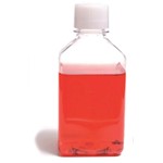 Amphotericin B (250 ug/ml) 100 ml Bioconcept 4-05F00-H