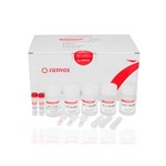 Canvax HigherPurity™ Bacterial Genomic DNA Isolation Kit AN0066