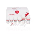 Canvax WideUSE™ Plasmid Purification Kit AN0068-S