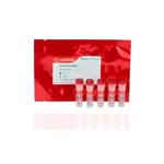 Canvax pColiExpress™ I LIC Cloning & Expression Kit BE001