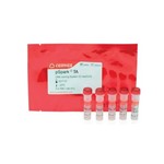 Canvax pSpark® II DNA Cloning Kit C0002