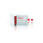 Canvax CVX5a™ Chemically Competent Cells C0031