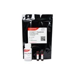 Canvax Annexin V Apoptosis Detection Kit CA013