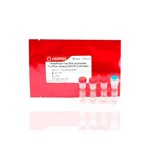 Canvax Horse-Power™ Taq DNA Polymerase with TruePure™ dNTPs P0026