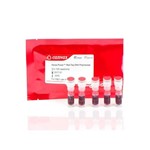Canvax Horse-Power™ Red-Taq DNA Polymerase P0027