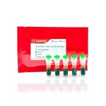 Canvax Horse-Power™ Green-Taq DNA Polymerase P0029
