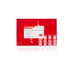 Canvax FastPANGEA™ High Fidelity DNA Polymerase P0031