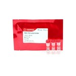 Canvax Bst DNA Polymerase (Exonuclease Minus) P0046