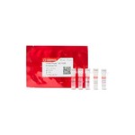 Canvax GC PCR Enhancer Kit P0081