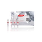Canvax First Strand cDNA Synthesis Kit PR007