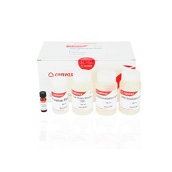 Canvax SRB Cytotoxicity Assay CA050