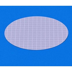 Membrane Filter 47 mm 0.45 um 100Pk