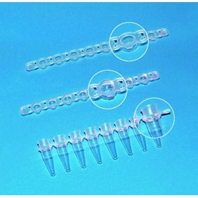 Brand Strips 8 PCR Tubes With Cap Strips Flat 781326