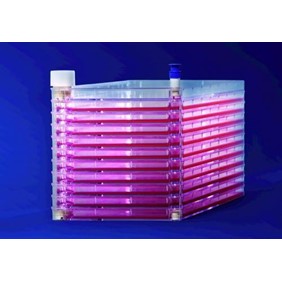 Thermo Cell Factory Easyfill 10-Trays Pack Of 2 140400