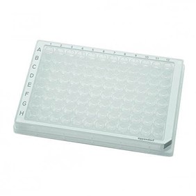 Eppendorf Vertrieb Microplate 96/U-PP Clear Wells Border Colour 0030605209