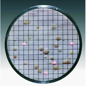 Sartorius Lab Nutrient pad 50 mm, 45 µm, 14076--50------N