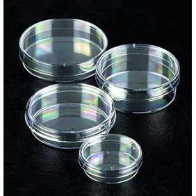 Sterilin Petri Dishes 50mm Low Form 124