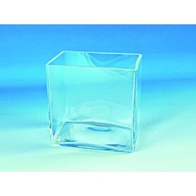Glaswarenfabrik Karl Hecht Glass tank 200x150x200mm 40070003