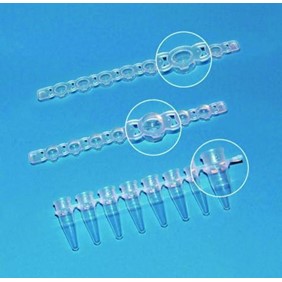 BRAND PCR-Caps, transparent, 12-strips 781290