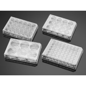 Corning Tissue culture plates, PS, 6 wells, lid, sterile, 353046