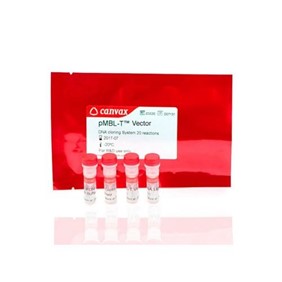 Canvax pMBL™ T-Vector DNA Cloning Kit C0030