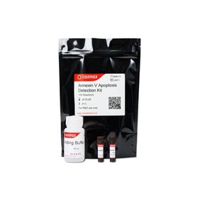 Canvax Annexin V Apoptosis Detection Kit CA011