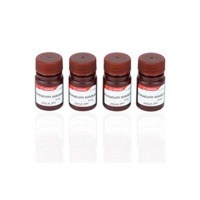 Canvax Resazurin Cell Viability Assay CA035
