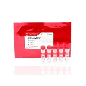 Canvax pOnebyOne™ III - Neo Bicistronic Mammalian Expression Kit ME003-N