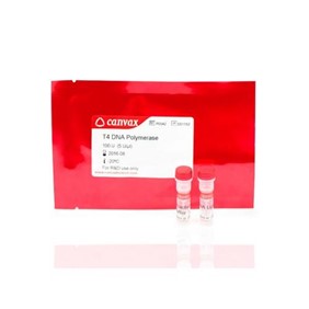 Canvax T4 DNA Polymerase P0042