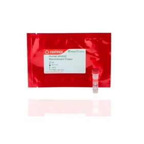 Canvax Human GRB2 (Growth Factor Receptor-Bound Protein 2), 6xHis-GST tags PR0341