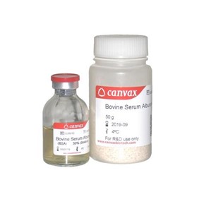 Canvax Bovine Serum Albumin (BSA) SUB010