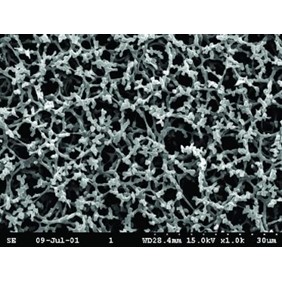 GE Healthcare AE99 Membrane Circles Cellulose Nitrate 10400106