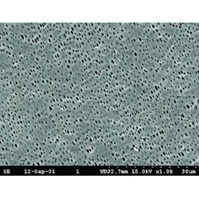 GE Healthcare NL16 Membrane Circles Polyamide 0.2µm 10414012